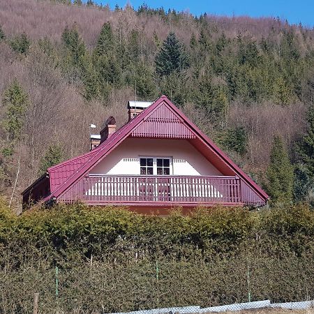 Domek Nad Rzeczka Βίλα Zabnica Εξωτερικό φωτογραφία