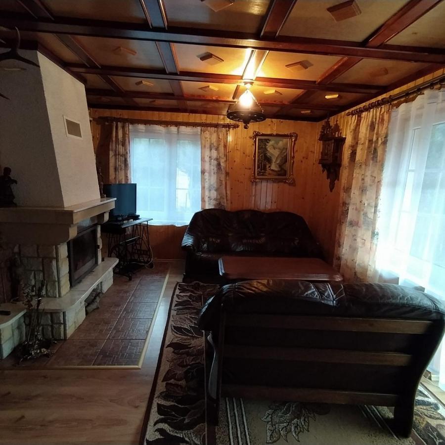 Domek Nad Rzeczka Βίλα Zabnica Εξωτερικό φωτογραφία